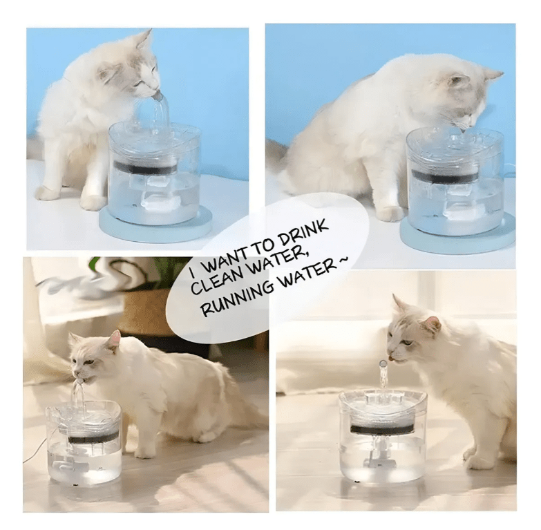 BEBEDERO AGUA PARA MASCOTAS - INSTALL - STOREINSTALL - STORE