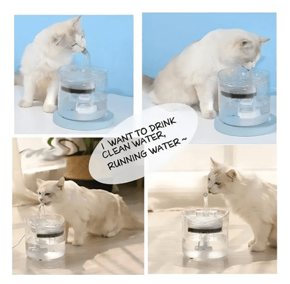 BEBEDERO AGUA PARA MASCOTAS - INSTALL - STOREINSTALL - STORE